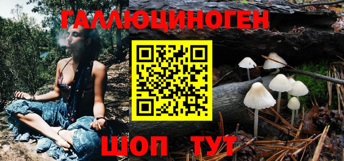 Галлюциногенные грибы GOLDEN TEACHER Бердск