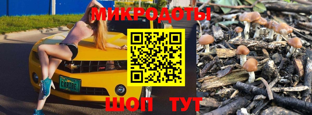 Бердск  Галлюциногенные грибы ЛСД  цена   Вход с VPN 