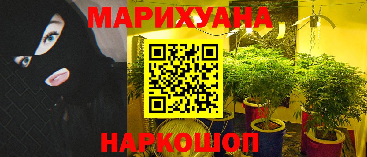 Шишки марихуана марихуана  Вход с VPN  Марихуана AK-47  Бердск 